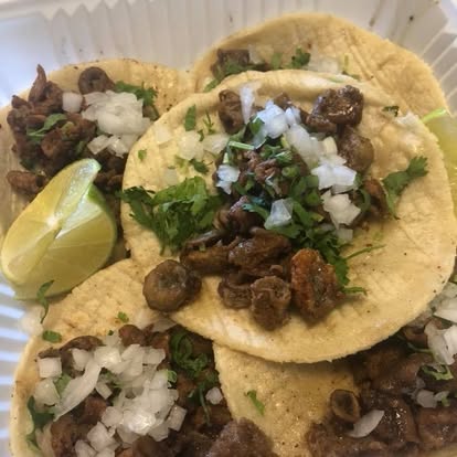Tacos on handmade tortillas